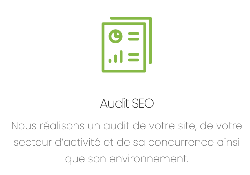 audit seo